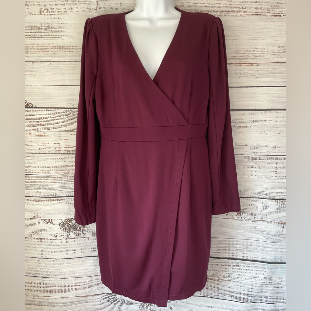 Burgundy Long Sleeve Mini Dress